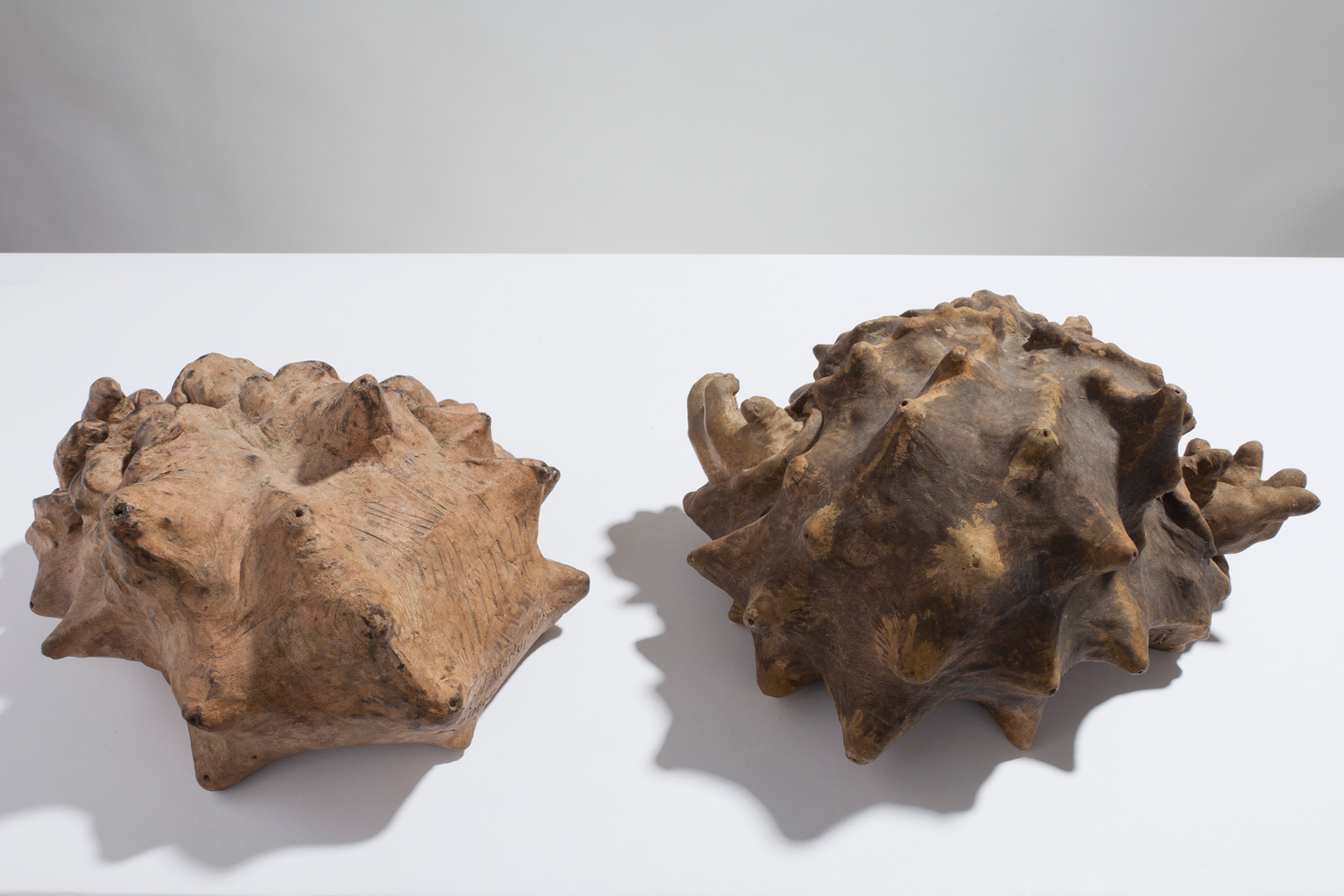 Martin Brothers Grinning Sea Monsters